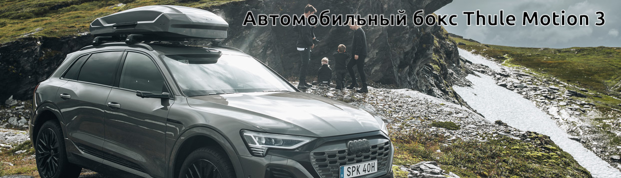 Автомобильный бокс Thule Motion 3