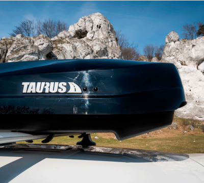   Автомобильный бокс Taurus Strike B, черный глянцевый. компании RackWorld